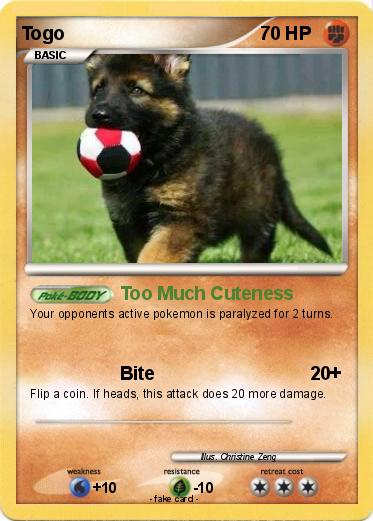 Pokemon Togo
