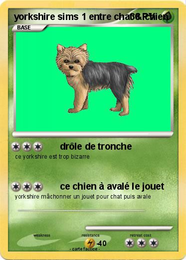 Pokemon yorkshire sims 1 entre chat & chien