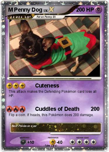 Pokemon M Penny Dog