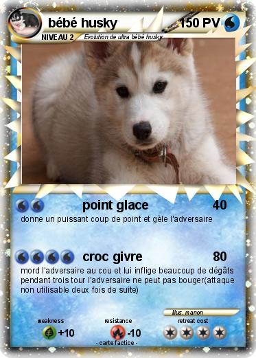 Pokemon bébé husky