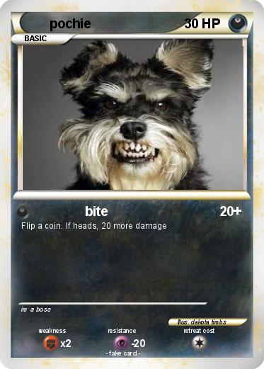 Pokemon pochie