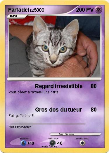 Pokemon Farfadel
