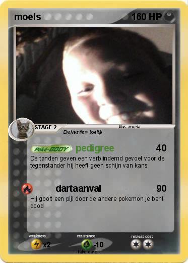 Pokemon moels