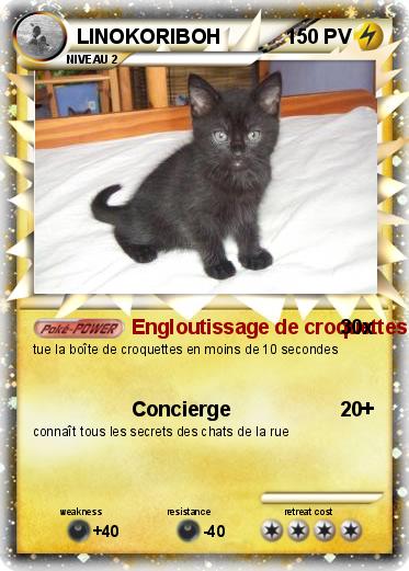 Pokemon LINOKORIBOH