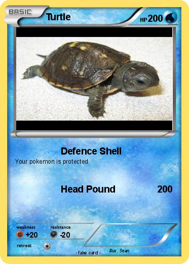 Pokemon Turtle