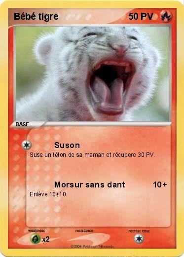 Pokemon Bébé tigre