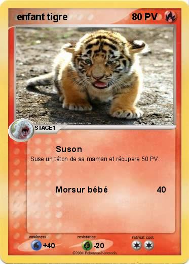 Pokemon  enfant tigre