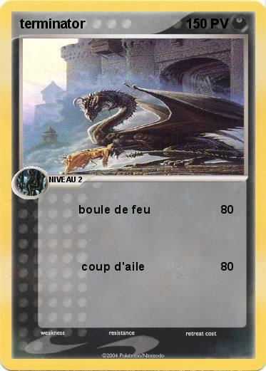 Pokemon terminator
