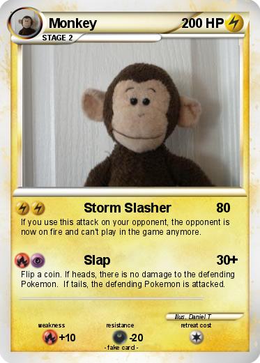 Pokemon Monkey