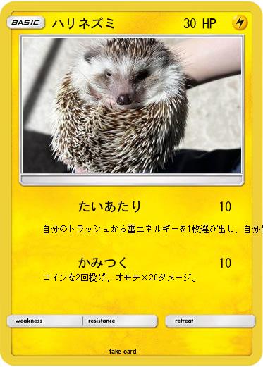 Pokemon ハリネズミ