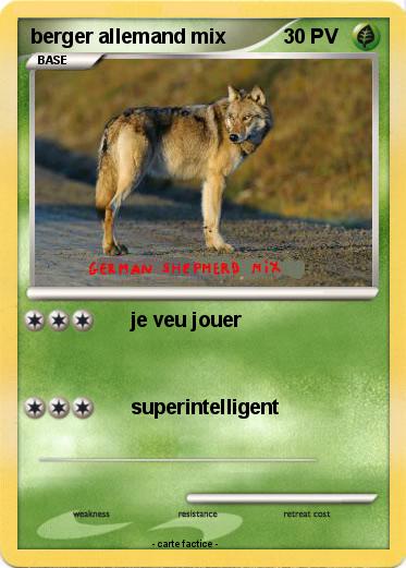 Pokemon berger allemand mix