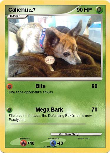 Pokemon Calichu
