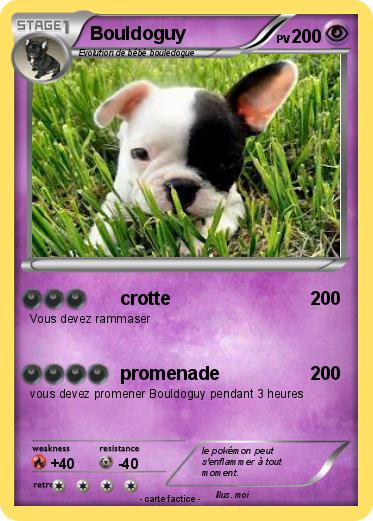 Pokemon Bouldoguy
