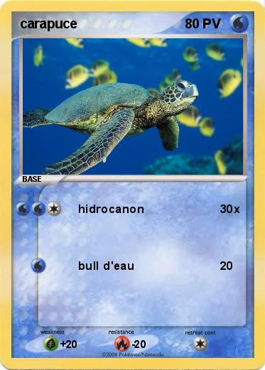 Pokemon carapuce