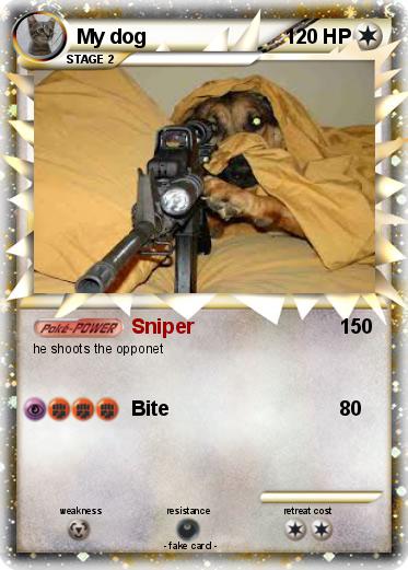 Pokemon My dog
