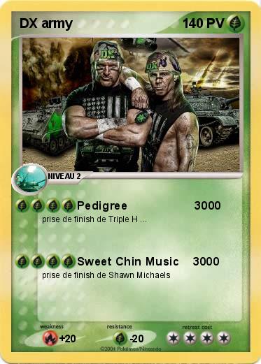 Pokemon DX army