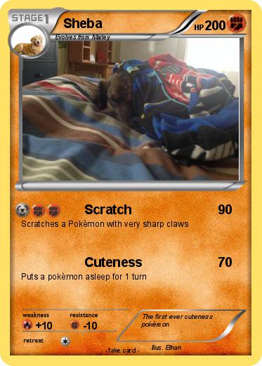 Pokemon Sheba