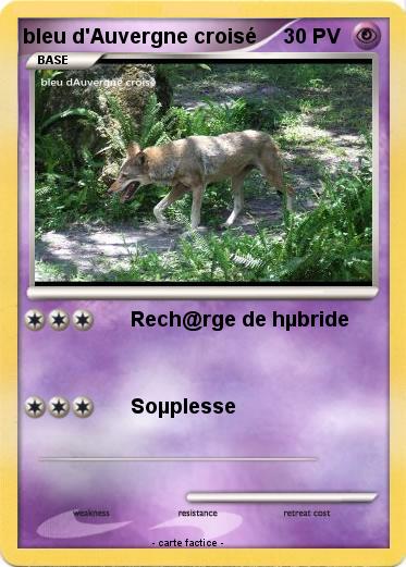 Pokemon bleu d'Auvergne croisé
