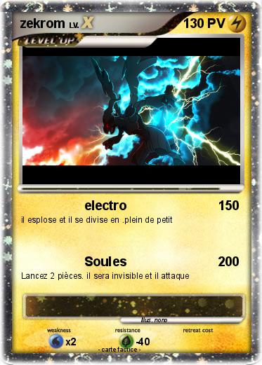 Pokemon zekrom