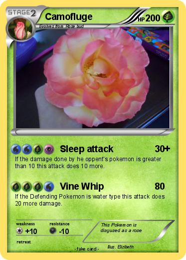 Pokemon Camofluge