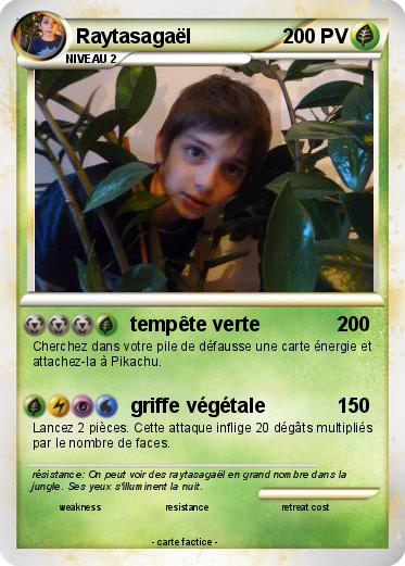 Pokemon Raytasagaël