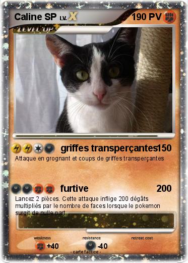 Pokemon Caline SP