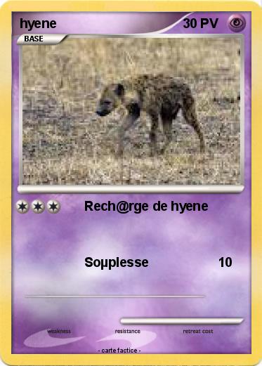 Pokemon hyene