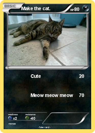 Pokemon Make the cat.