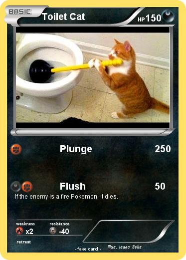 Pokemon Toilet Cat