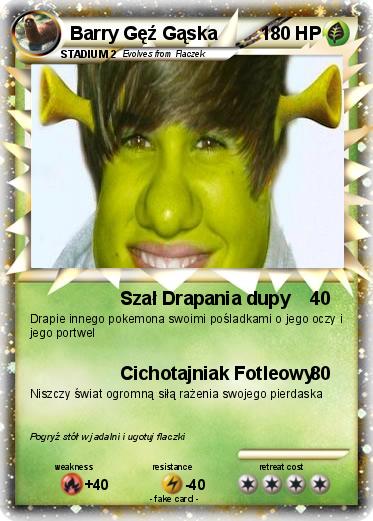 Pokemon Barry Gęź Gąska