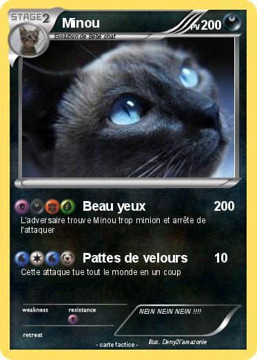 Pokemon Minou