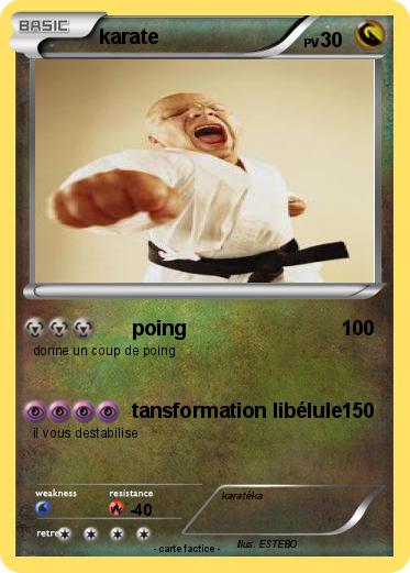 Pokemon karate