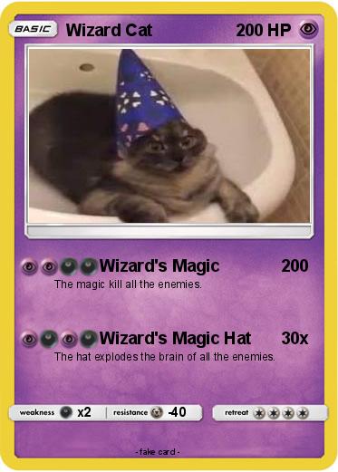 Pokemon Wizard Cat