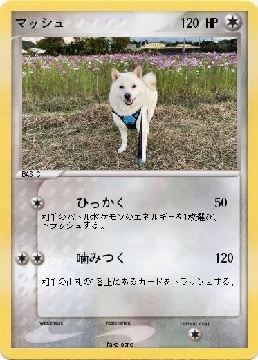Pokemon マッシュ