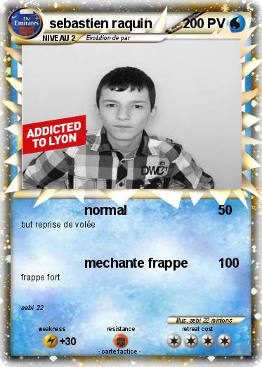 Pokemon sebastien raquin