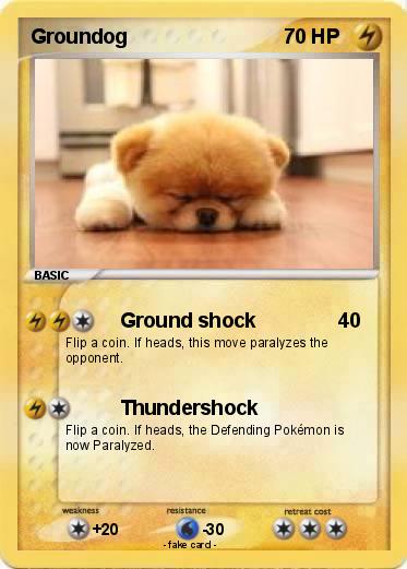 Pokemon Groundog