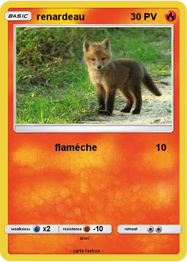 Pokemon renardeau