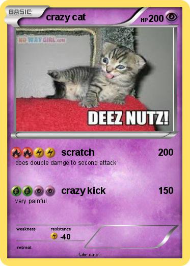 Pokemon crazy cat
