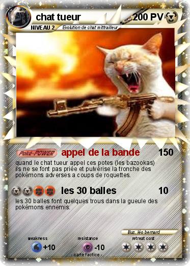 Pokemon chat tueur