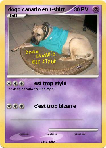 Pokemon dogo canario en t-shirt