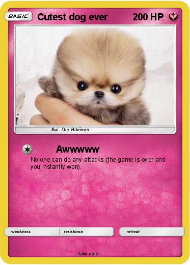 Pokemon Cutest dog ever