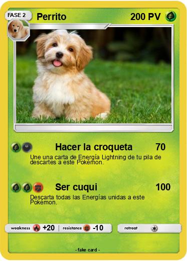Pokemon Perrito