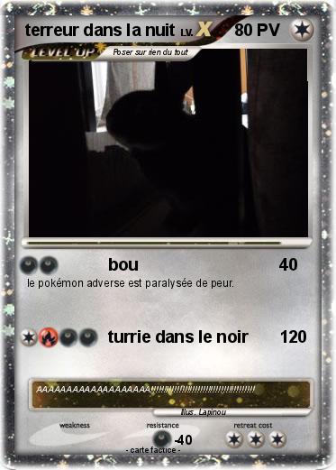 Pokemon terreur dans la nuit