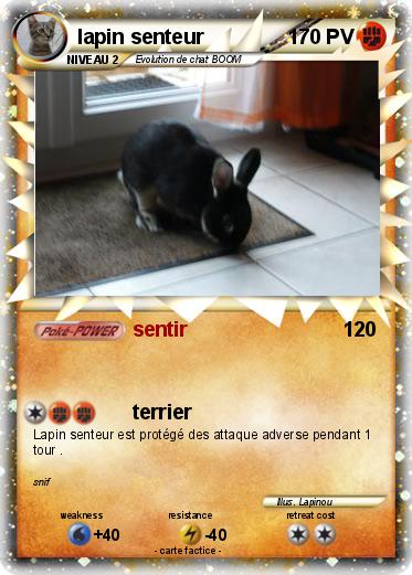 Pokemon lapin senteur