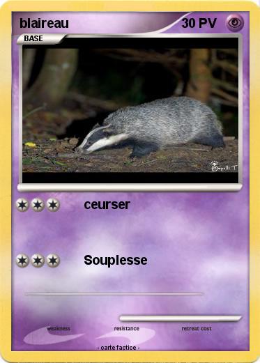 Pokemon blaireau