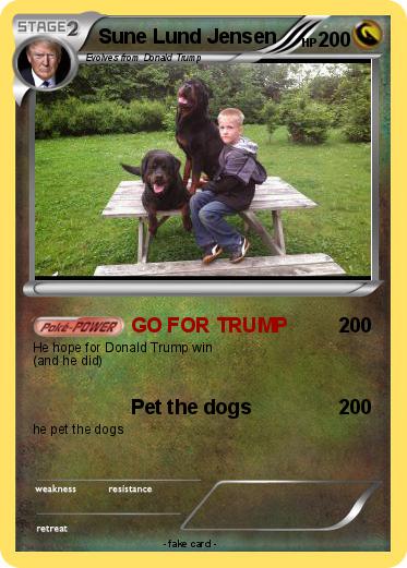 Pokemon Sune Lund Jensen