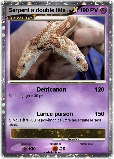Pokemon Serpent a double tête