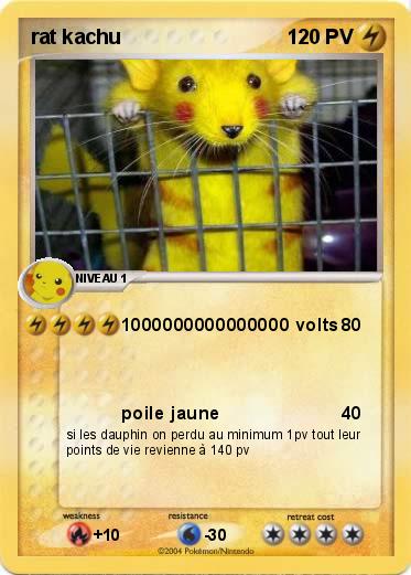 Pokemon rat kachu