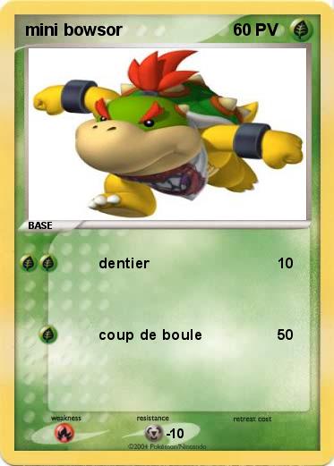 Pokemon mini bowsor