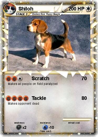 Pokemon Shiloh